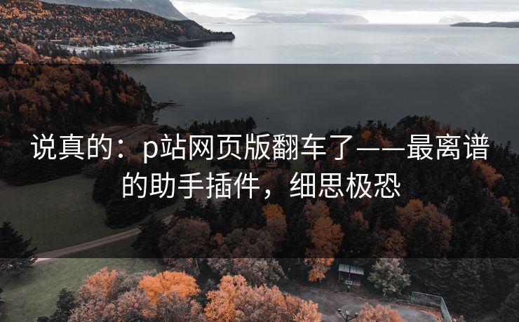 说真的：p站网页版翻车了——最离谱的助手插件，细思极恐
