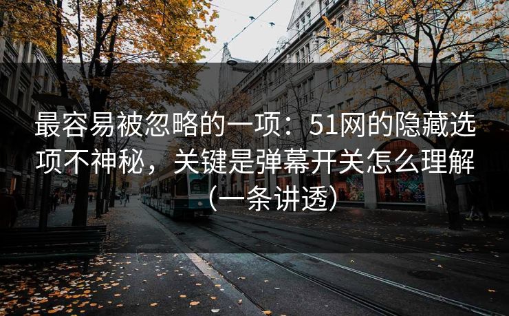 最容易被忽略的一项：51网的隐藏选项不神秘，关键是弹幕开关怎么理解（一条讲透）