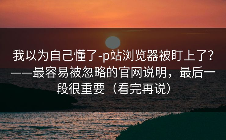 我以为自己懂了-p站浏览器被盯上了?——最容易被忽略的官网说明,最后一段很重要(看完再说) 我以为自己懂了-p站浏览器被盯上了?——最容易被忽略的官网说明,最后一段很重要(看完再说)