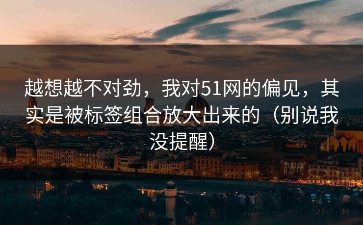 越想越不对劲，我对51网的偏见，其实是被标签组合放大出来的（别说我没提醒）